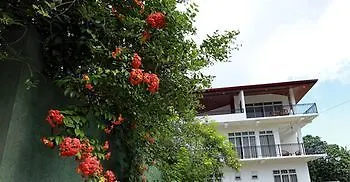 Oyo 555 Villa Dasuni 캔디